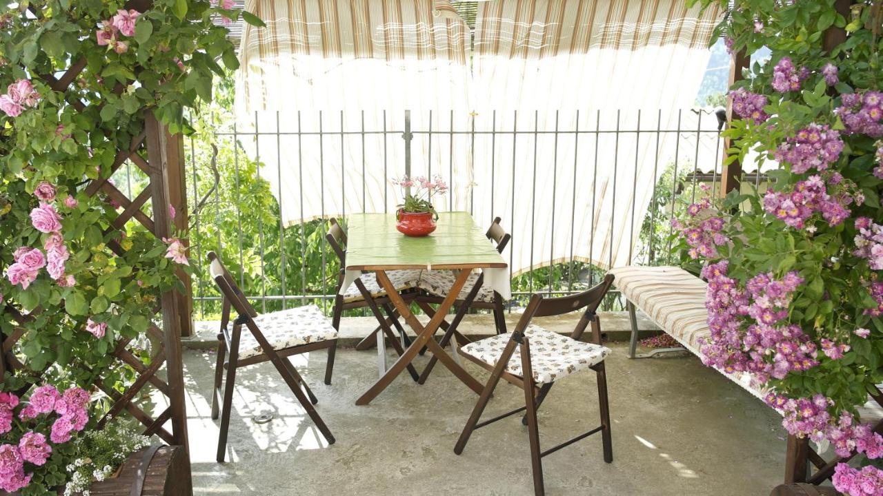 Cit Ni Bed & Breakfast Bosia Dış mekan fotoğraf